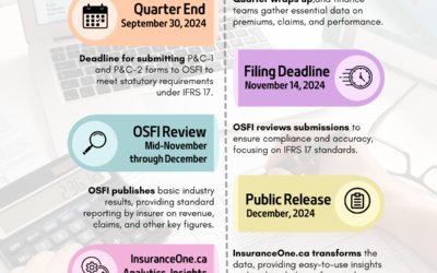 Navigating the OSFI Q3-2024 Filing Process